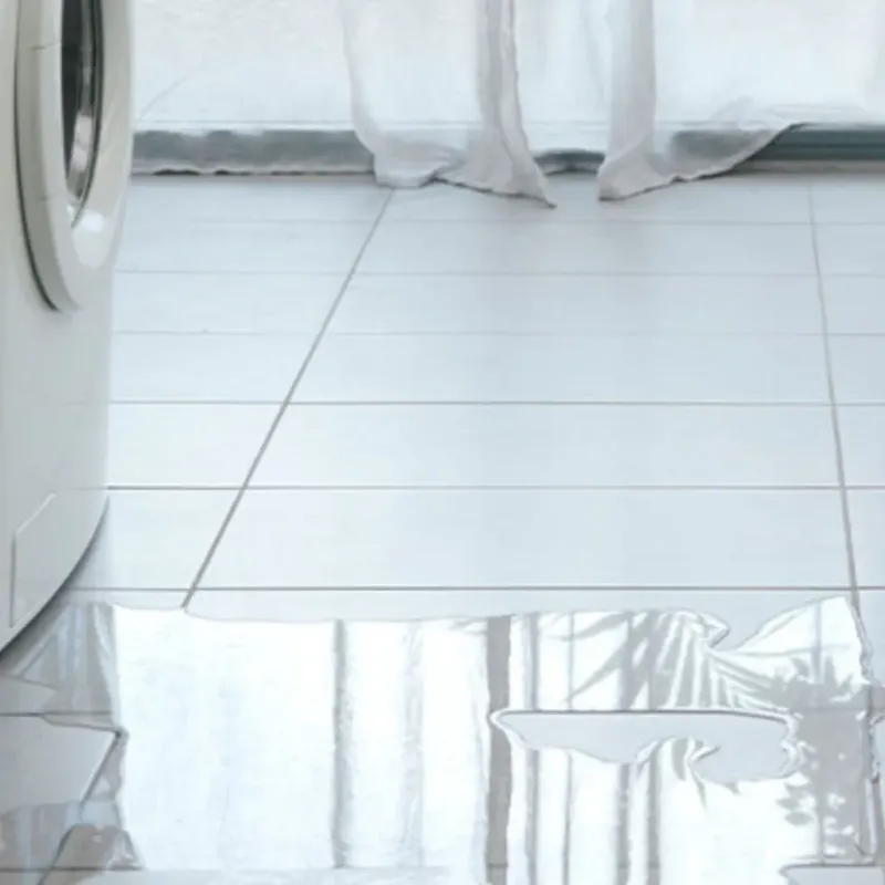 Appliance Leak Cleanup in Hamilton County, NY