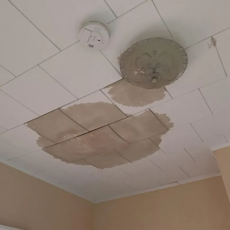 Ceiling Water Damage Repair in Hamilton County, NY
