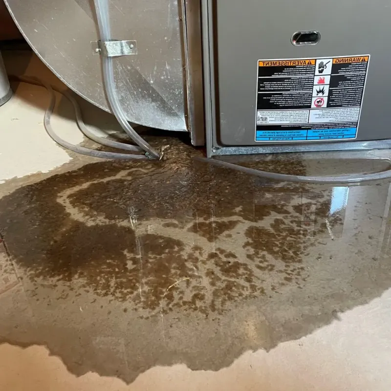 Pipe Burst and Leak Restoration in Hamilton County, NY